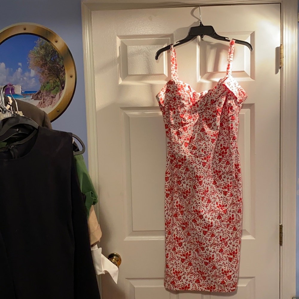 Pinup girl Dixie fried wiggle dress
